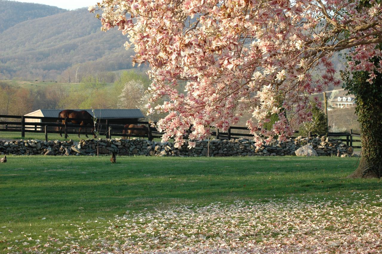 Glen Gordon Manor Bed and Breakfast Huntly Εξωτερικό φωτογραφία